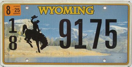 2025 Wyoming  (Single) license plate for sale