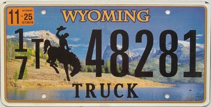 2025 Wyoming  (Truck) license plate for sale