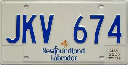 2020 Newfoundland  (Single) license plate for sale