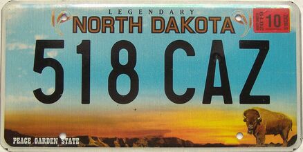 2019 North Dakota  (Single) license plate for sale