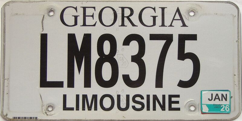 2026 Georgia license plate for sale