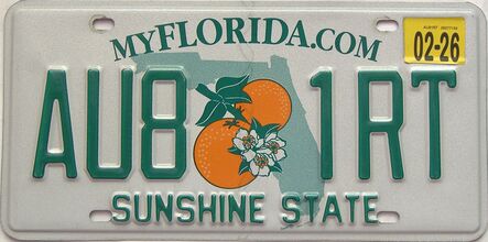 2026 Florida license plate for sale