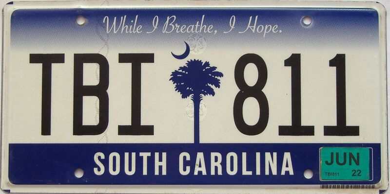 2022 South Carolina license plate for sale