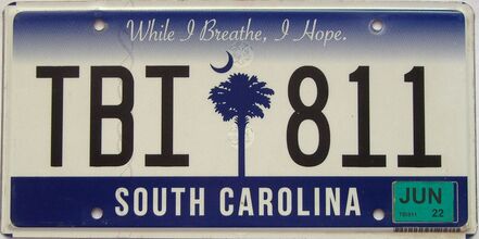 2022 South Carolina license plate for sale