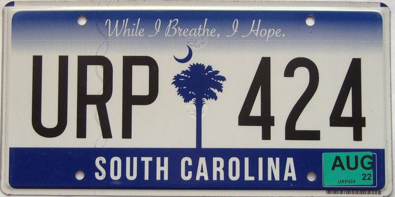 2022 South Carolina license plate for sale