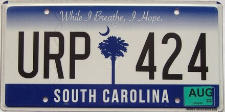 2022 South Carolina license plate for sale
