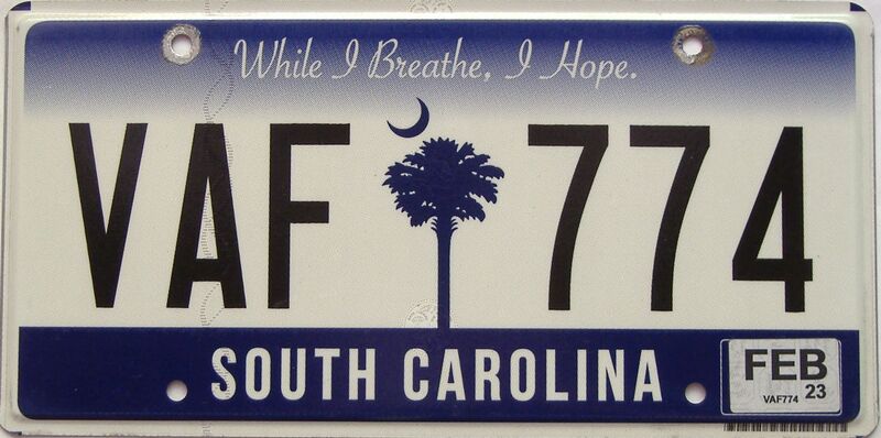 2023 South Carolina license plate for sale