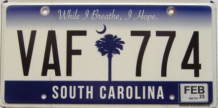 2023 South Carolina license plate for sale