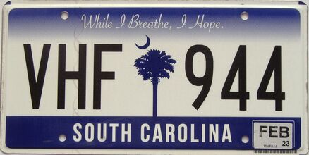 2023 South Carolina license plate for sale