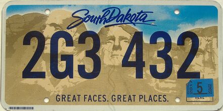 2017 South Dakota  (Single) license plate for sale