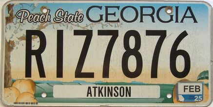 2025 Georgia Counties (Atkinson) license plate for sale