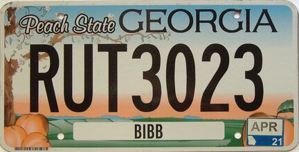 2021 Georgia Counties (Bibb) license plate for sale