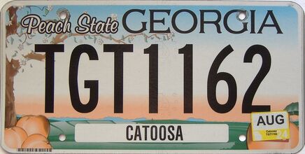 2024 Georgia Counties (Catoosa) license plate for sale