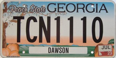2023 Georgia Counties (Dawson) license plate for sale