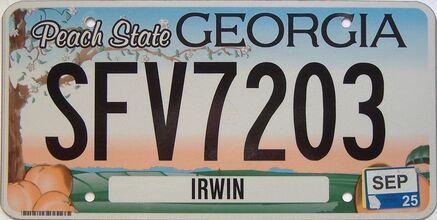 2025 Georgia Counties (Irwin) license plate for sale