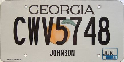 2025 Georgia Counties (Johnson) license plate for sale