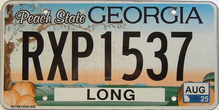 2025 Georgia Counties (Long) license plate for sale
