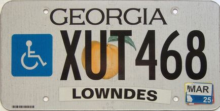 2025 Georgia Counties (Lowndes) license plate for sale