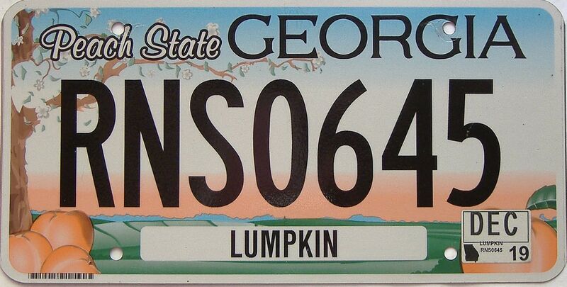 2019 Georgia Counties (Lumpkin) license plate for sale