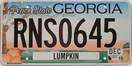 2019 Georgia Counties (Lumpkin) license plate for sale