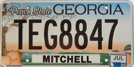 2025 Georgia Counties (Mitchell) license plate for sale