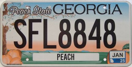 2025 Georgia Counties (Peach) license plate for sale