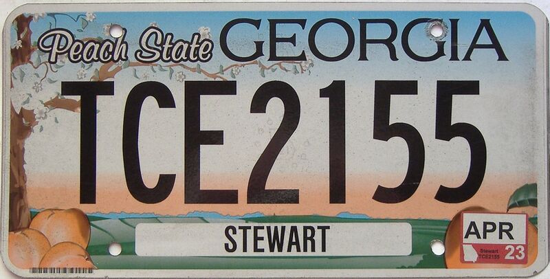 2023 Georgia Counties (Stewart) license plate for sale