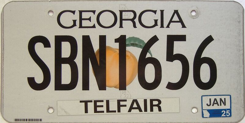 2025 Georgia Counties (Telfair) license plate for sale