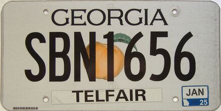 2025 Georgia Counties (Telfair) license plate for sale