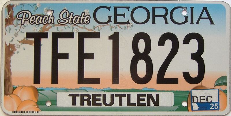 2025 Georgia Counties (Treutlen) license plate for sale