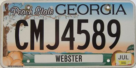 2024 Georgia Counties (Webster) license plate for sale