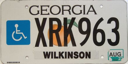 2022 Georgia Counties (Wilkinson) license plate for sale