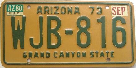 1980 Arizona  (Single) license plate for sale