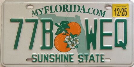 2025 Florida license plate for sale