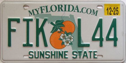 2025 Florida license plate for sale