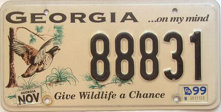 1999 Georgia license plate for sale