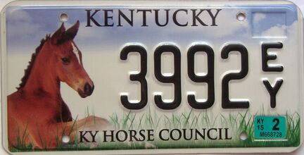 2015 Kentucky license plate for sale