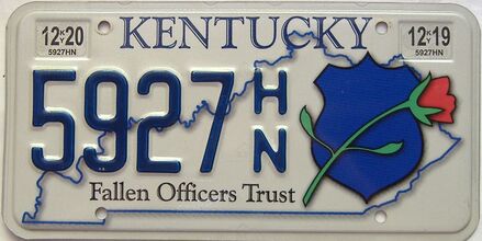 2020 Kentucky license plate for sale