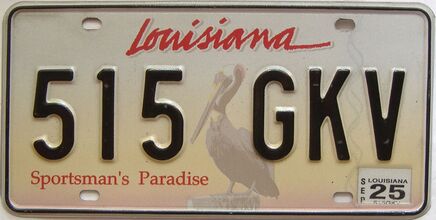 2025 Louisiana license plate for sale