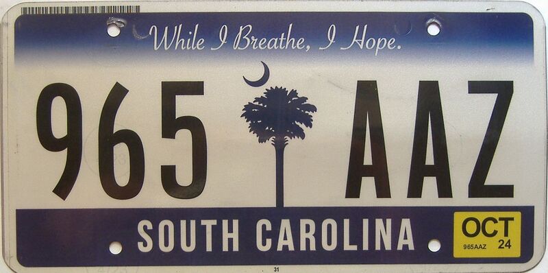 2024 South Carolina license plate for sale