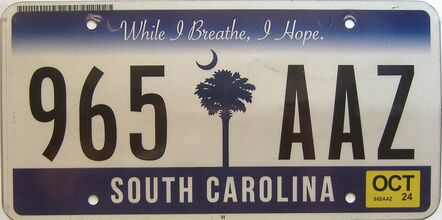 2024 South Carolina license plate for sale