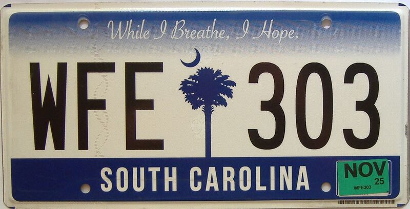 2025 South Carolina license plate for sale