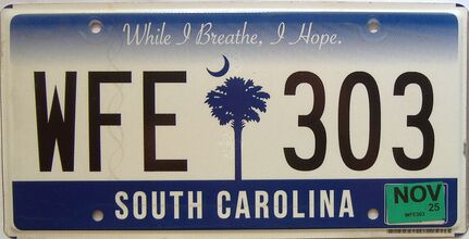 2025 South Carolina license plate for sale
