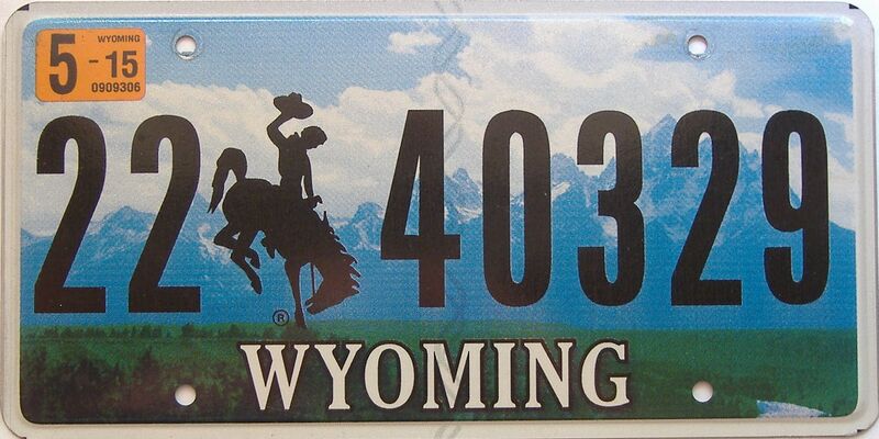 2015 Wyoming  (Single) license plate for sale