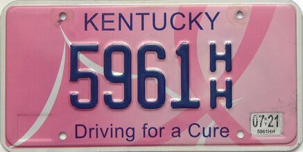 2021 Kentucky license plate for sale