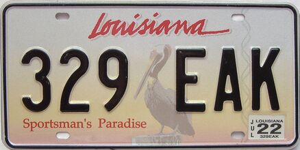 2022 Louisiana license plate for sale