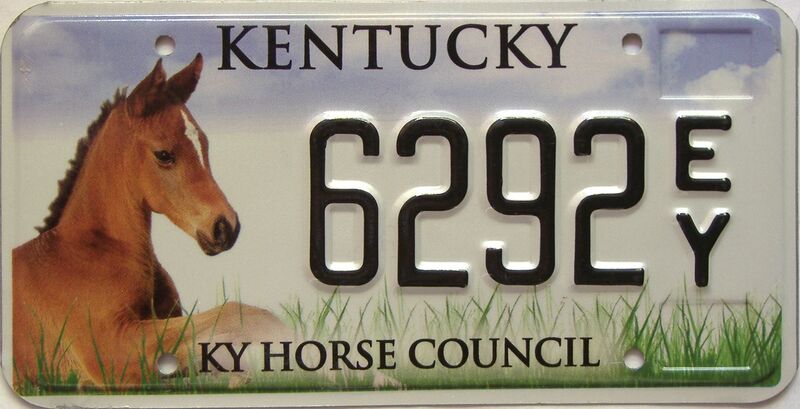 Kentucky license plate for sale