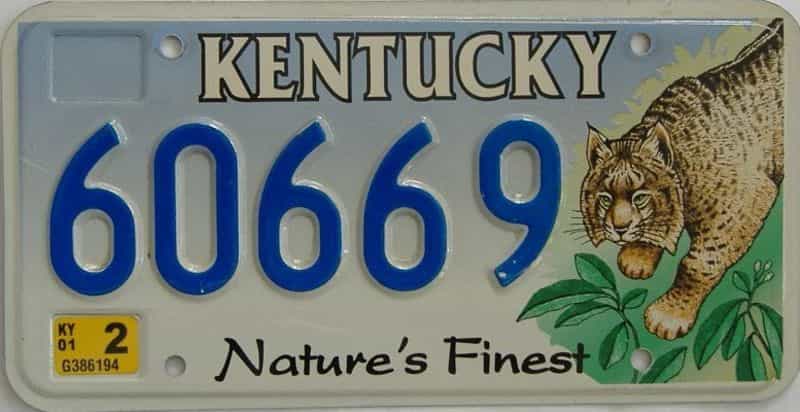2001 Kentucky  (Natural) license plate for sale