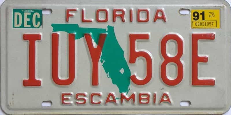 1991 Florida  (Natural) license plate for sale