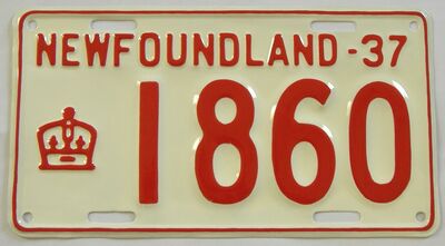 Actual Restored Plate, After
